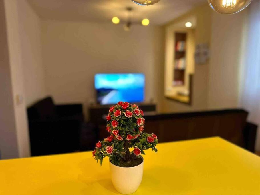 Ora-Prn,Peaceful Central Apartment 프리슈티나 외부 사진